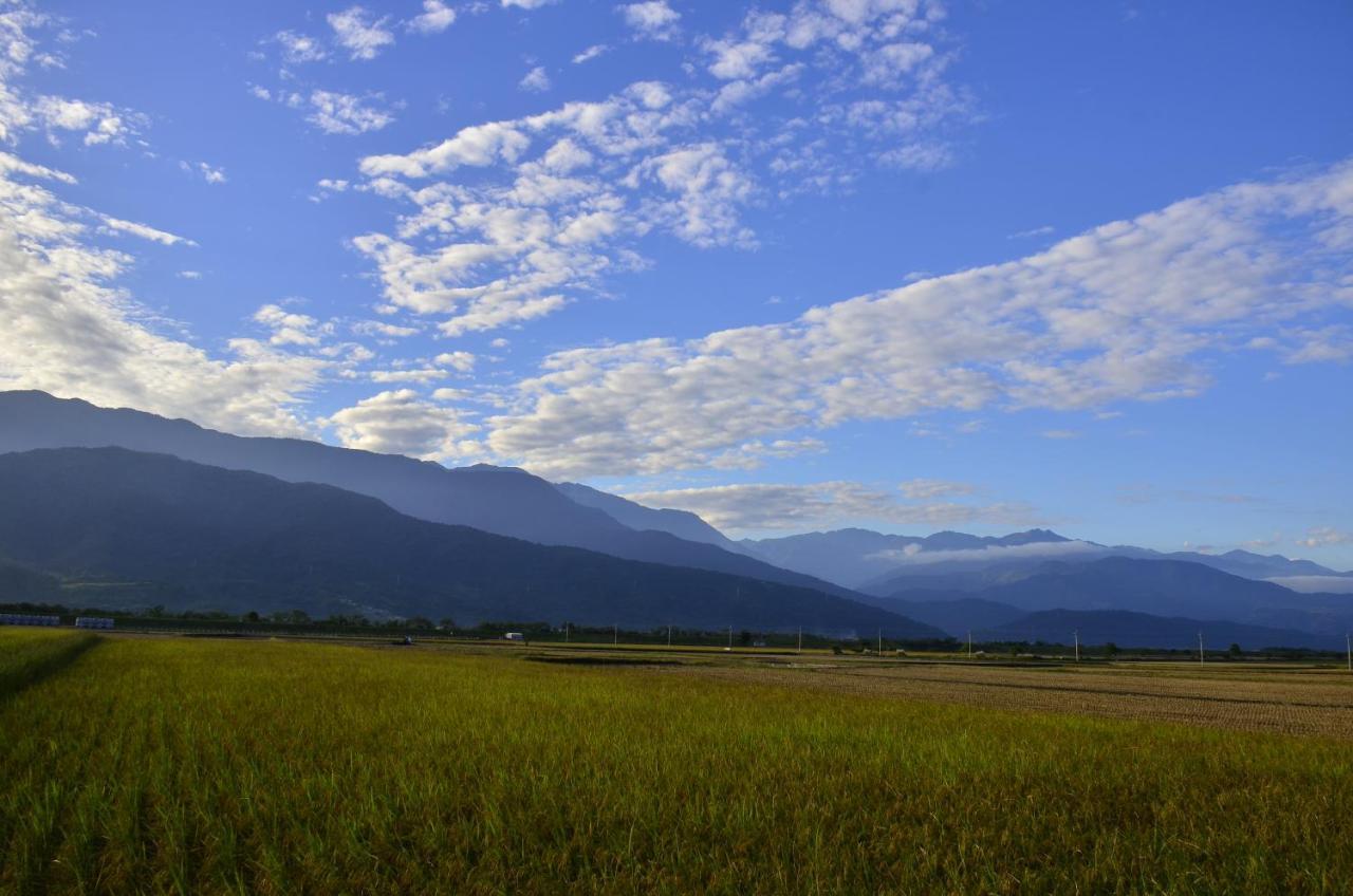 八畝田 Bamutian Farmland 8 Mu Apartment Yuli Exterior photo